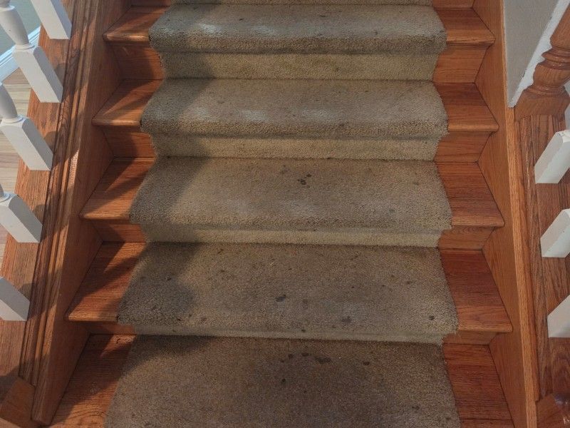 Stained carpet before professional cleaning