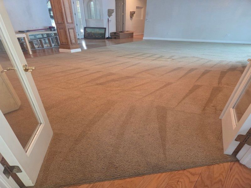 Carpet cleaning equipment and process