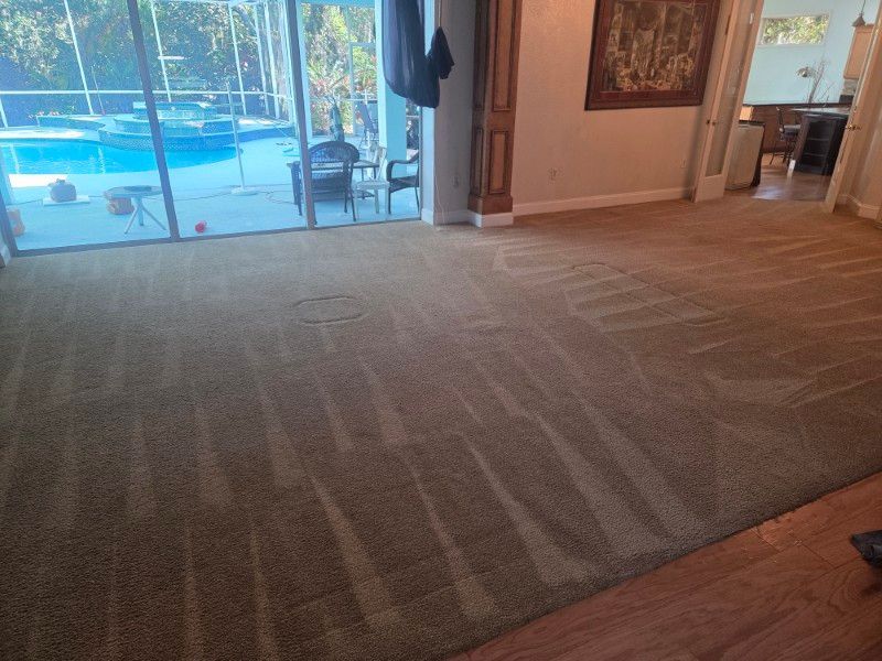 Beautifully cleaned carpet after professional service