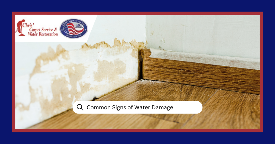 common signs of water damage