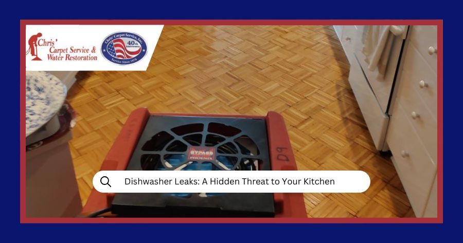 Dishwasher Leaks: A Hidden Threat to Your Kitchen
