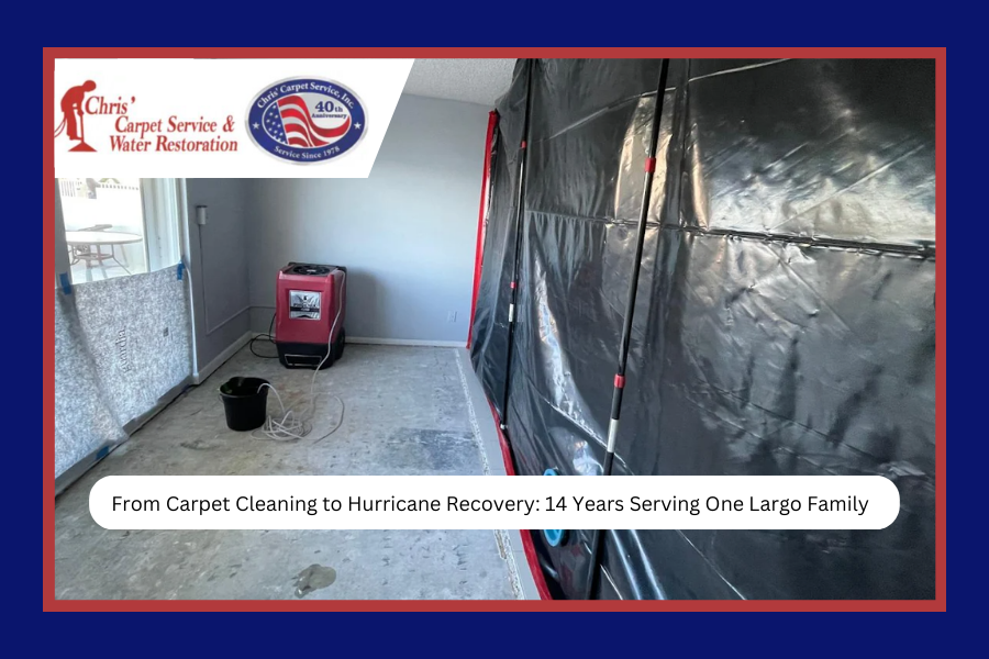 From Carpet Cleaning to Hurricane Recovery