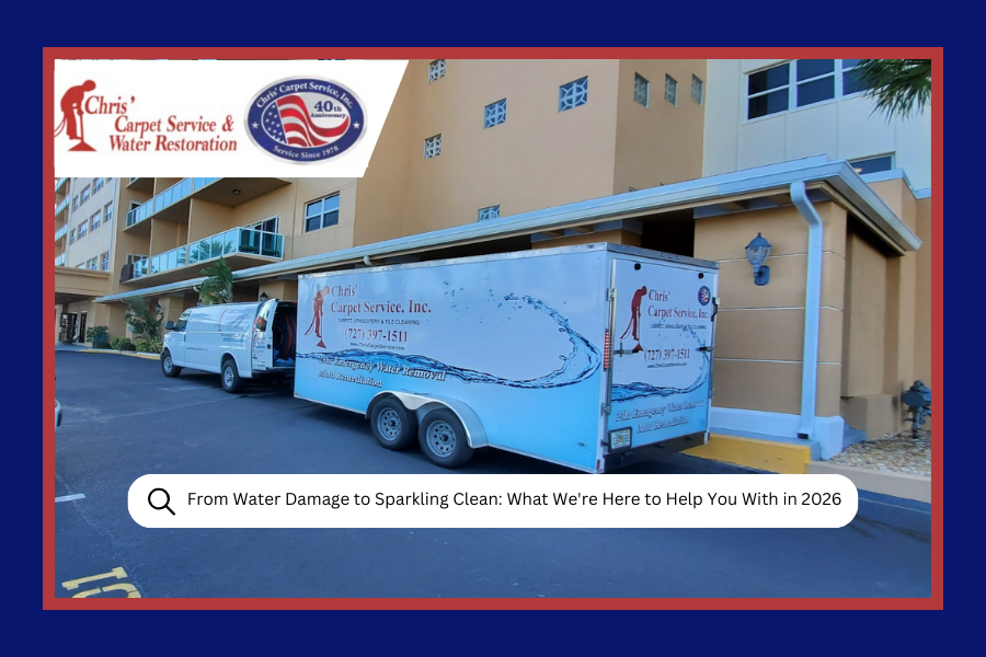 From Water Damage to Sparkling Clean: What We're Here to Help You With in 2026