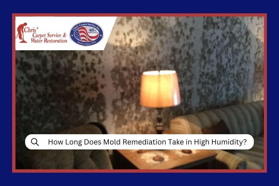 How Long Does Mold Remediation Take in High Humidity?