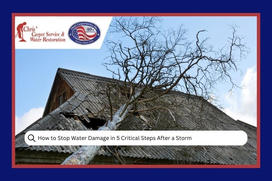 How to Stop Water Damage in 5 Critical Steps After a Storm