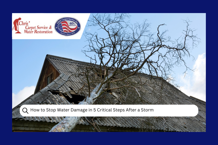 How to Stop Water Damage in 5 Critical Steps After a Storm