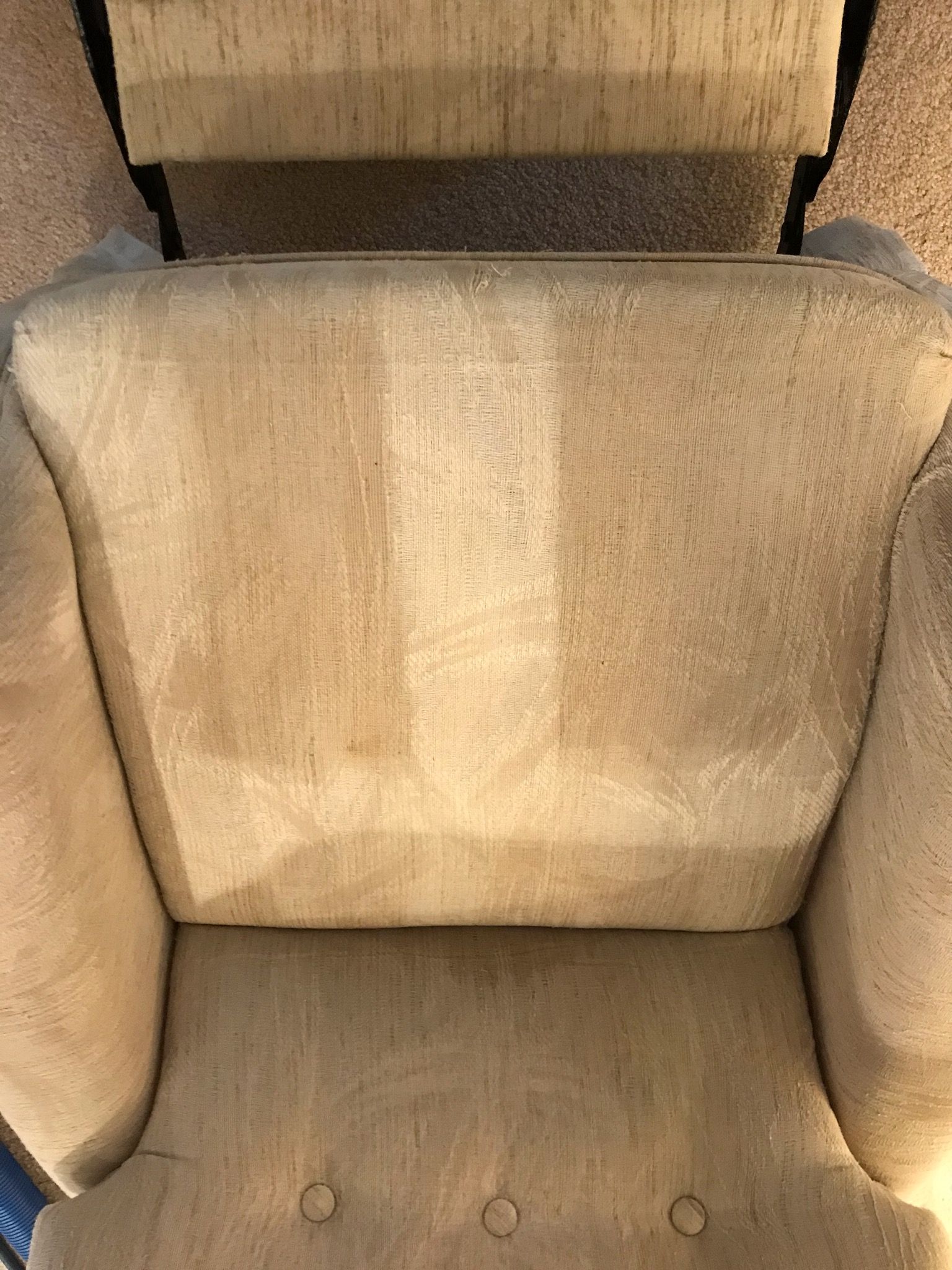 Upholstery Cleaning in Largo, FL