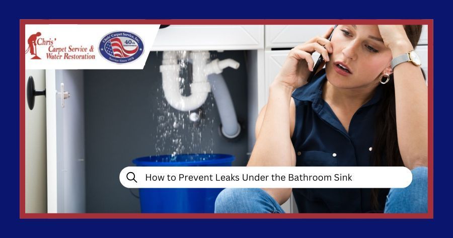 Leaks Under the Bathroom Sink