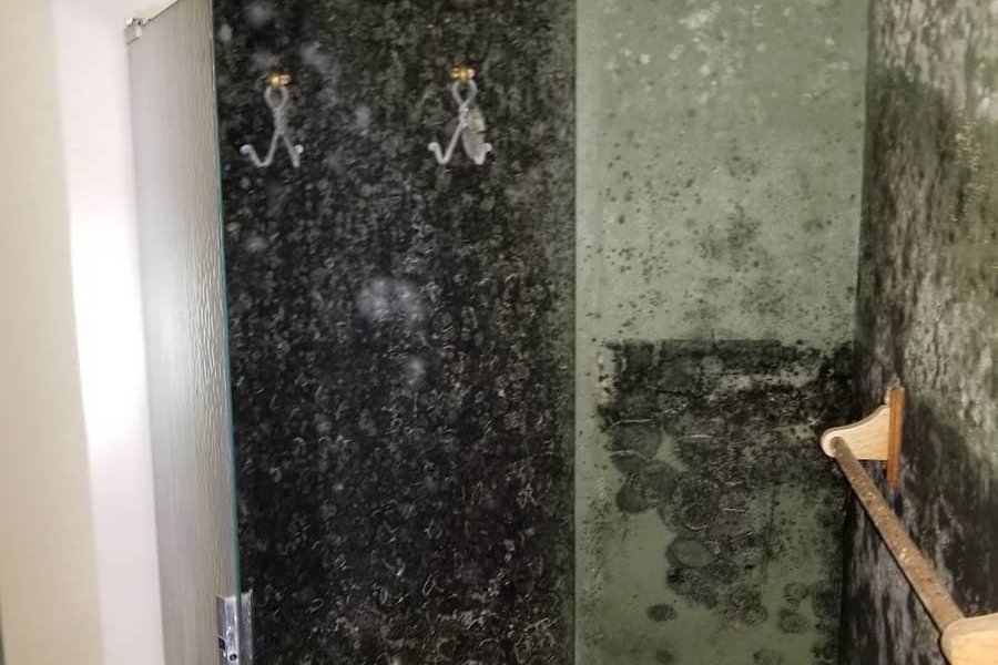 Severe mold damage in a residential room