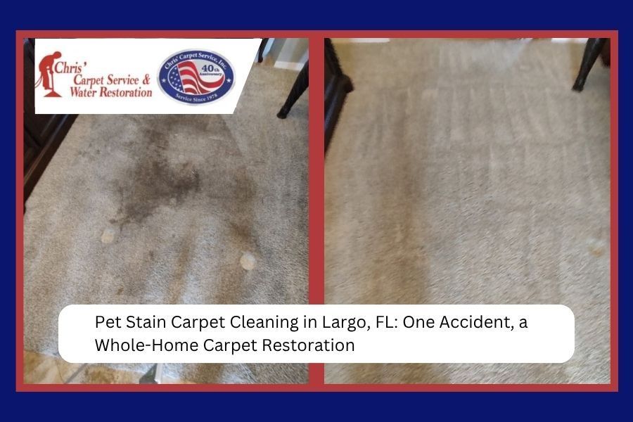 Before-and-after carpet cleaning in a room, showing a dirty brown carpet beside a clean beige one.