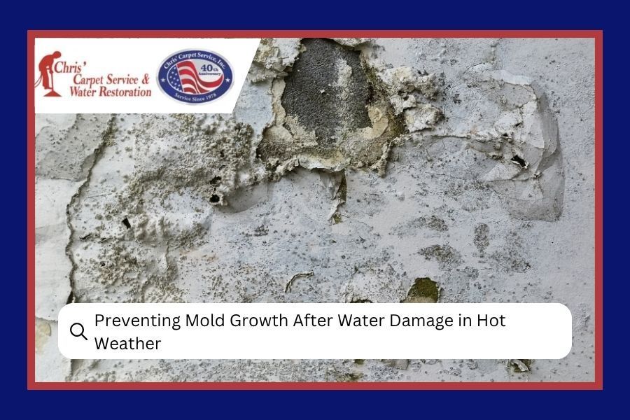 Mold and water damage on a wall with text about preventing mold growth after water damage in hot weather