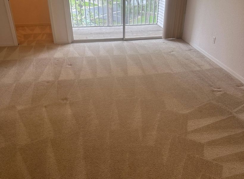 Professional Carpet Cleaning Dunedin, FL