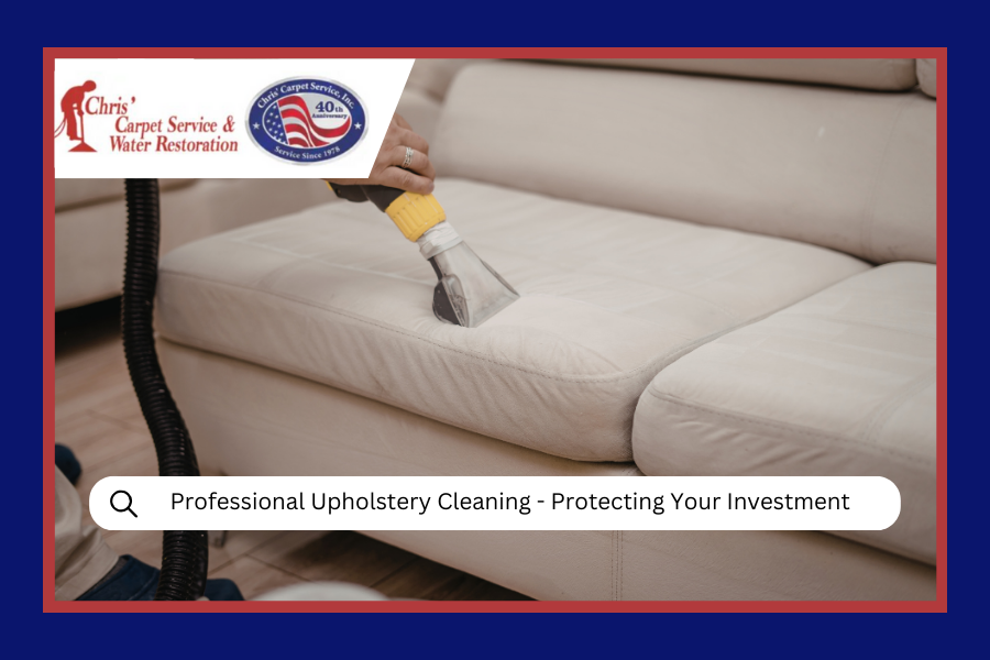 Professional Upholstery Cleaning
