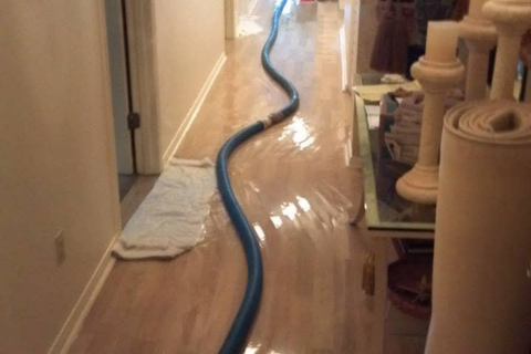 Beyond Water: Complete Disaster Response for Tampa Bay Homes