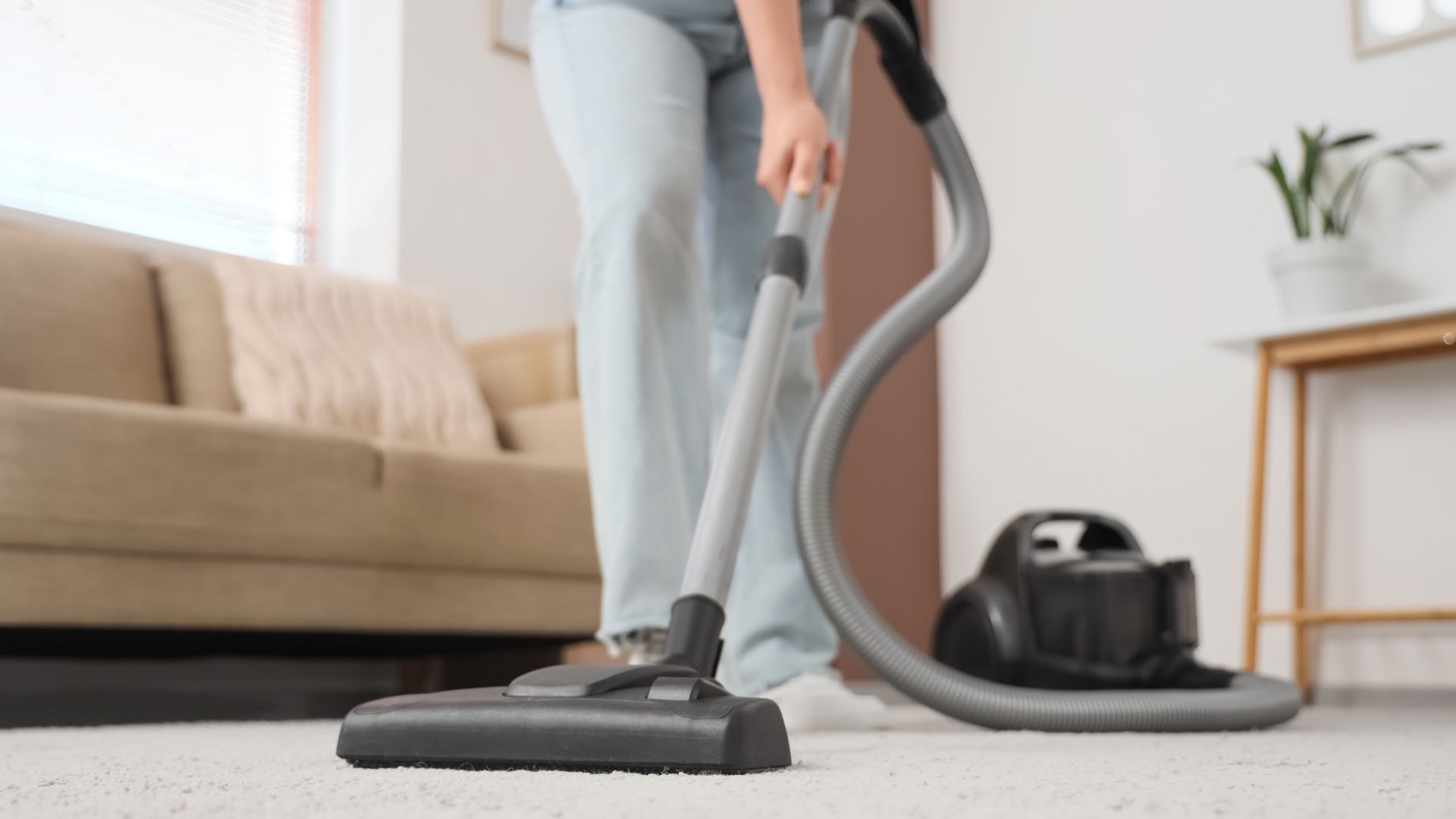 Bring Your Carpets Back to Life with Residential Carpet Cleaning