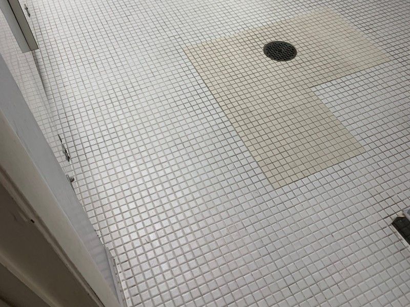 Professional tile cleaning results