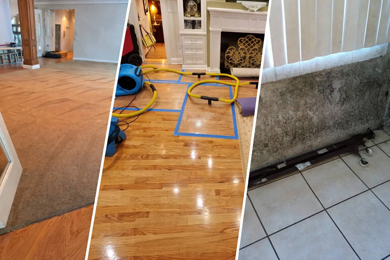 Your 247 Largo, FL Water Damage & Carpet Cleaning Specialists!