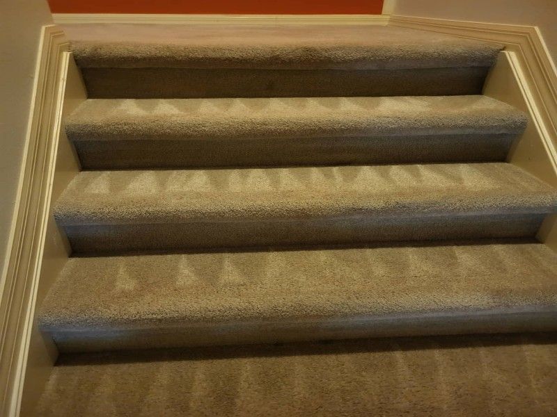 Beautiful clean carpet after professional treatment