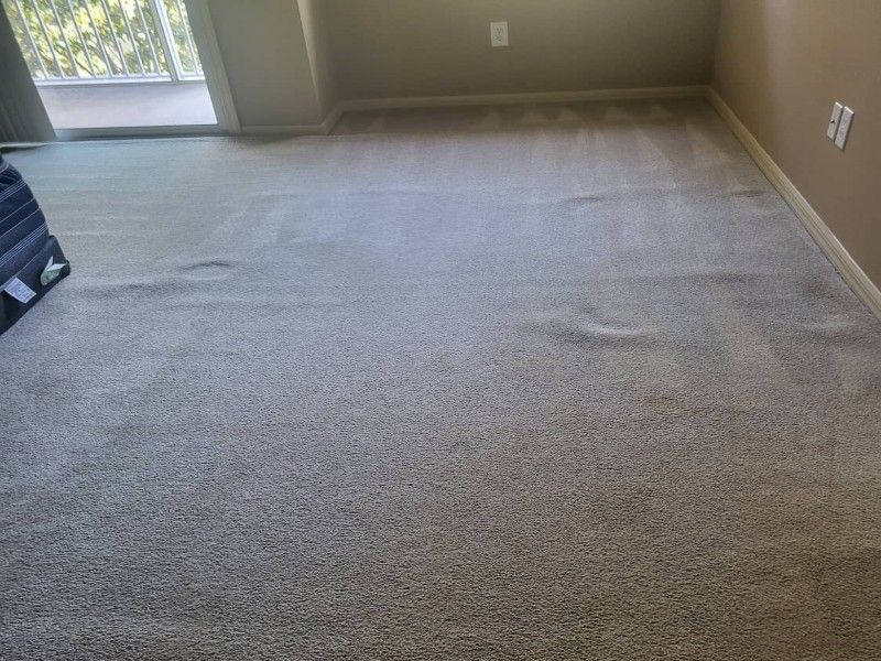 Clean carpet after professional cleaning