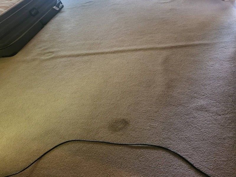 Carpet stains on stairs before treatment