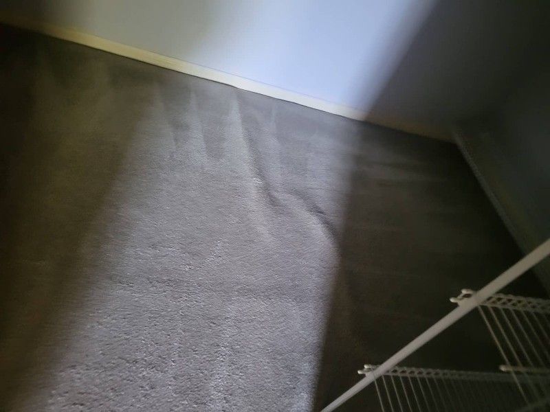 Heavily stained carpet before cleaning