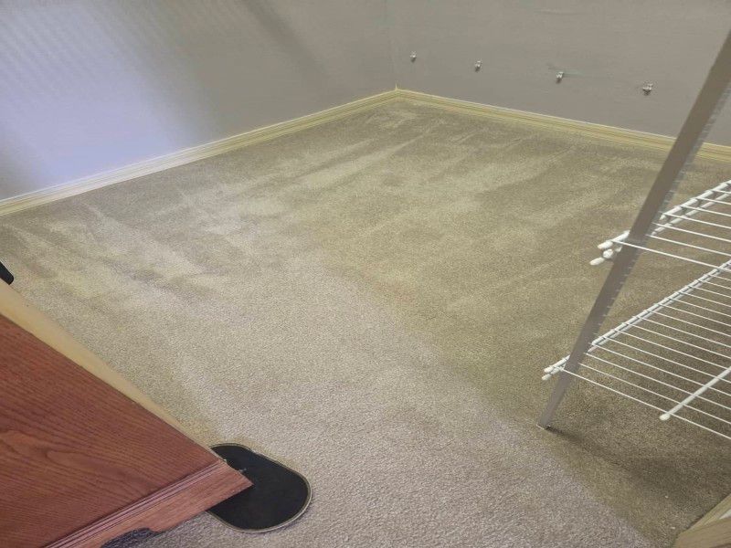 Final result of carpet cleaning project
