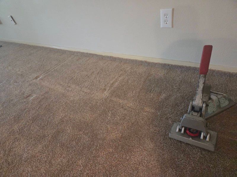Restored carpet showing original colors