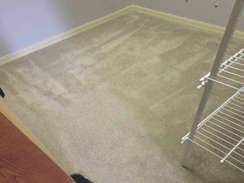Clean room carpet after restoration