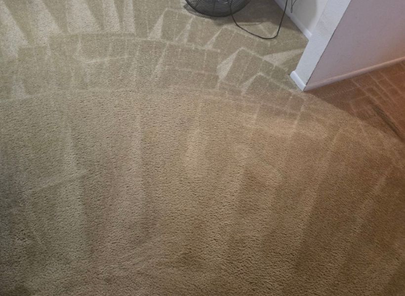 carpet-after 1