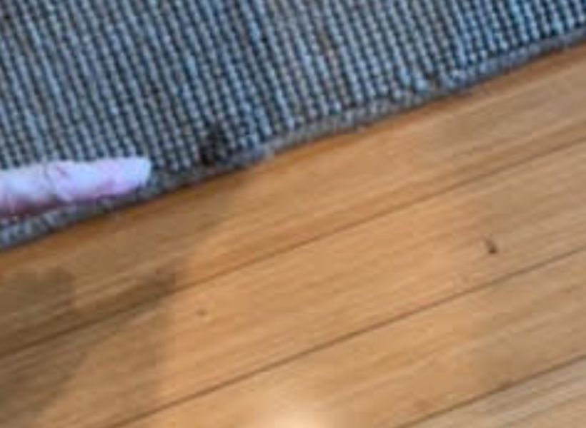 carpet-before 1