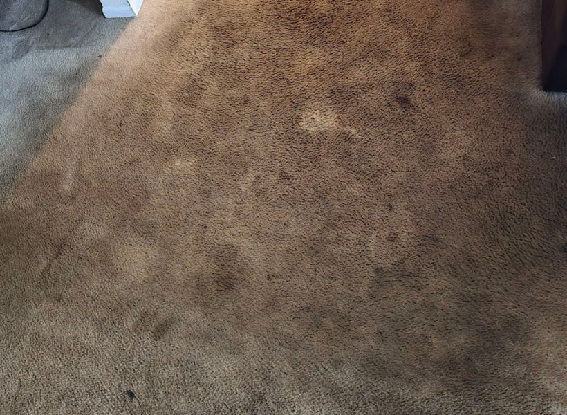 carpet-before 1