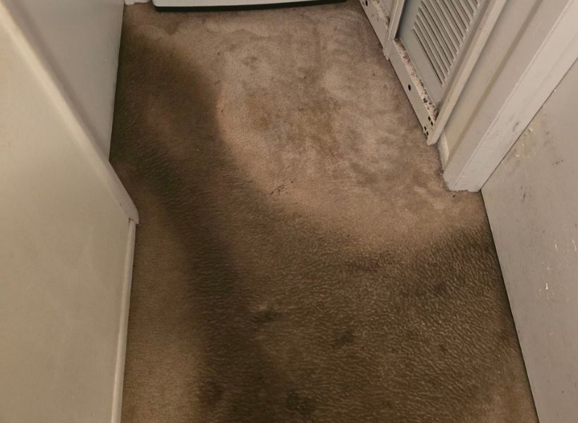 carpet-before 2