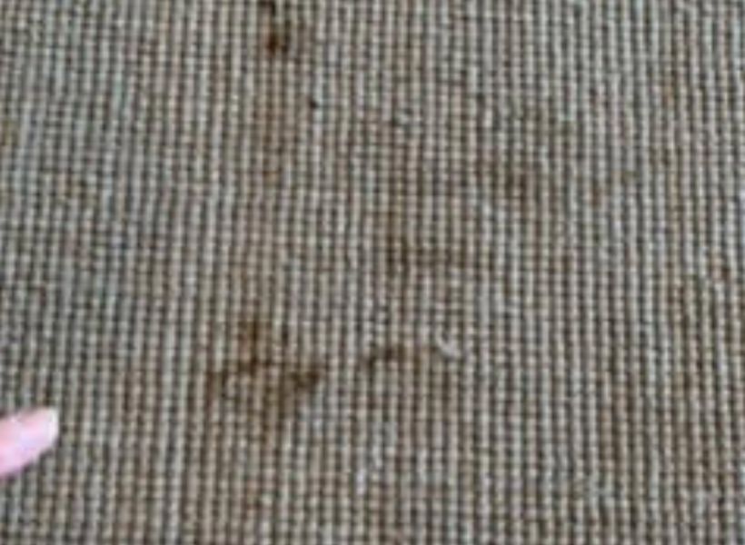 carpet-before 2