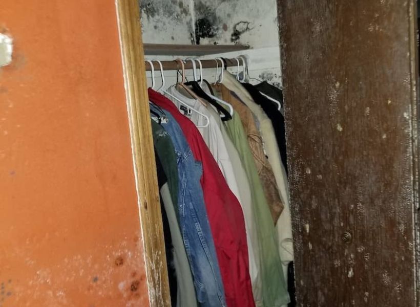 closet mold damage