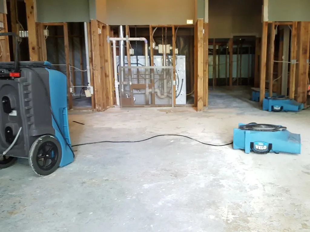 commercial cleaning