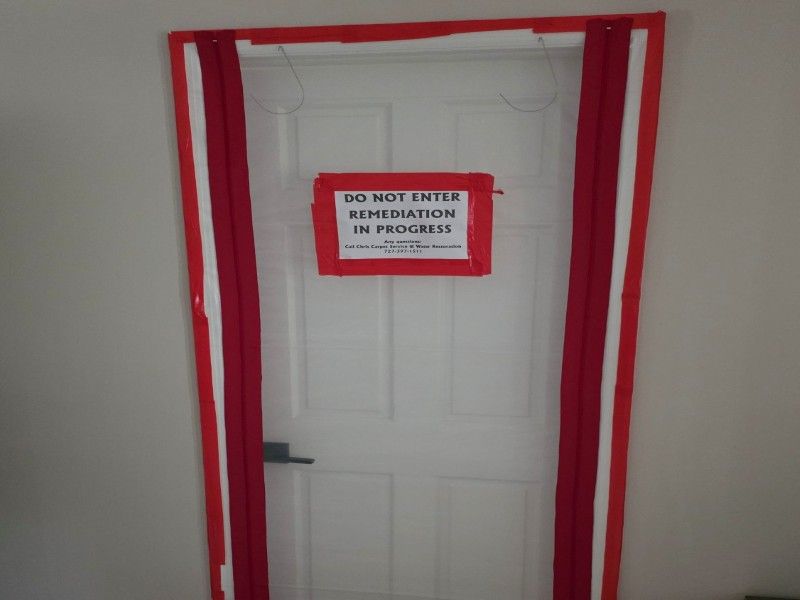 Professional mold containment setup