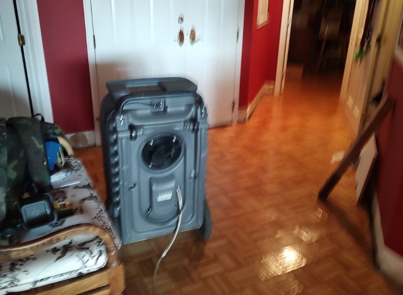 dehumidifier+extracting+moisture