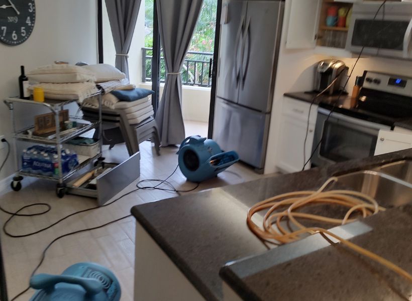 drying process-last unit