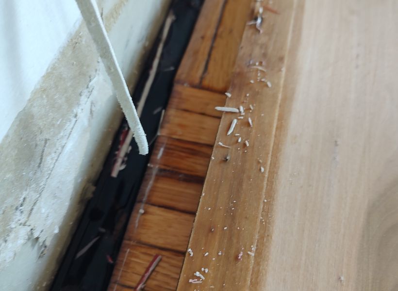 drywall and flooring damage