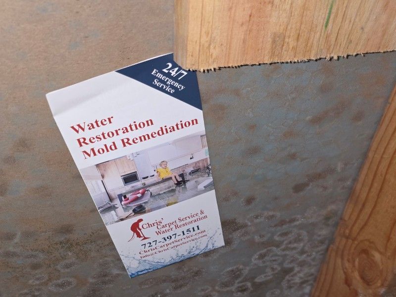 Professional mold remediation equipment