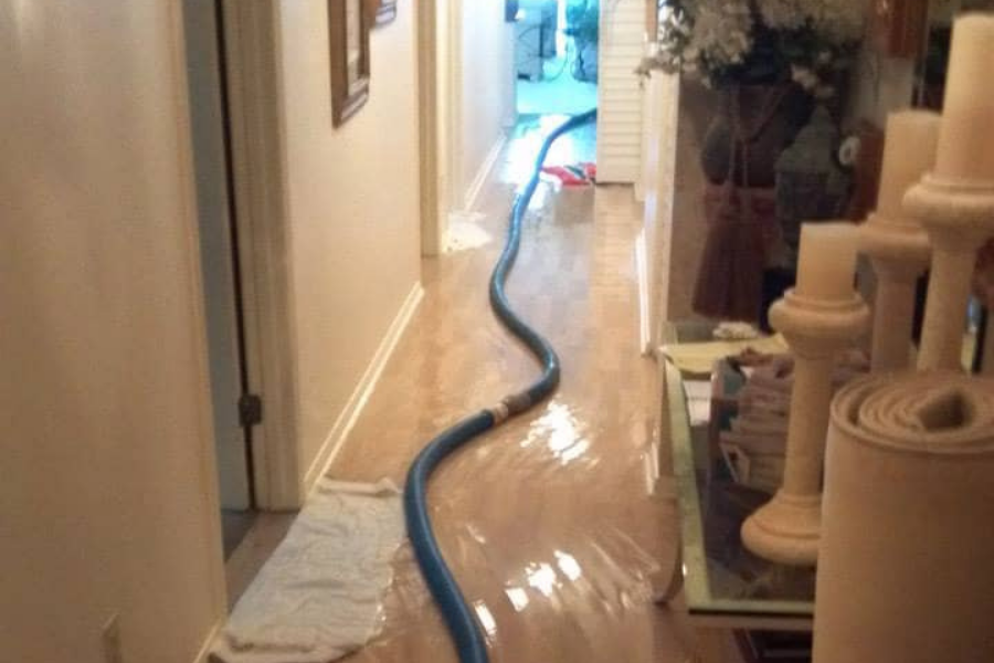 Flood cleanup and water extraction in a Tampa Bay residence