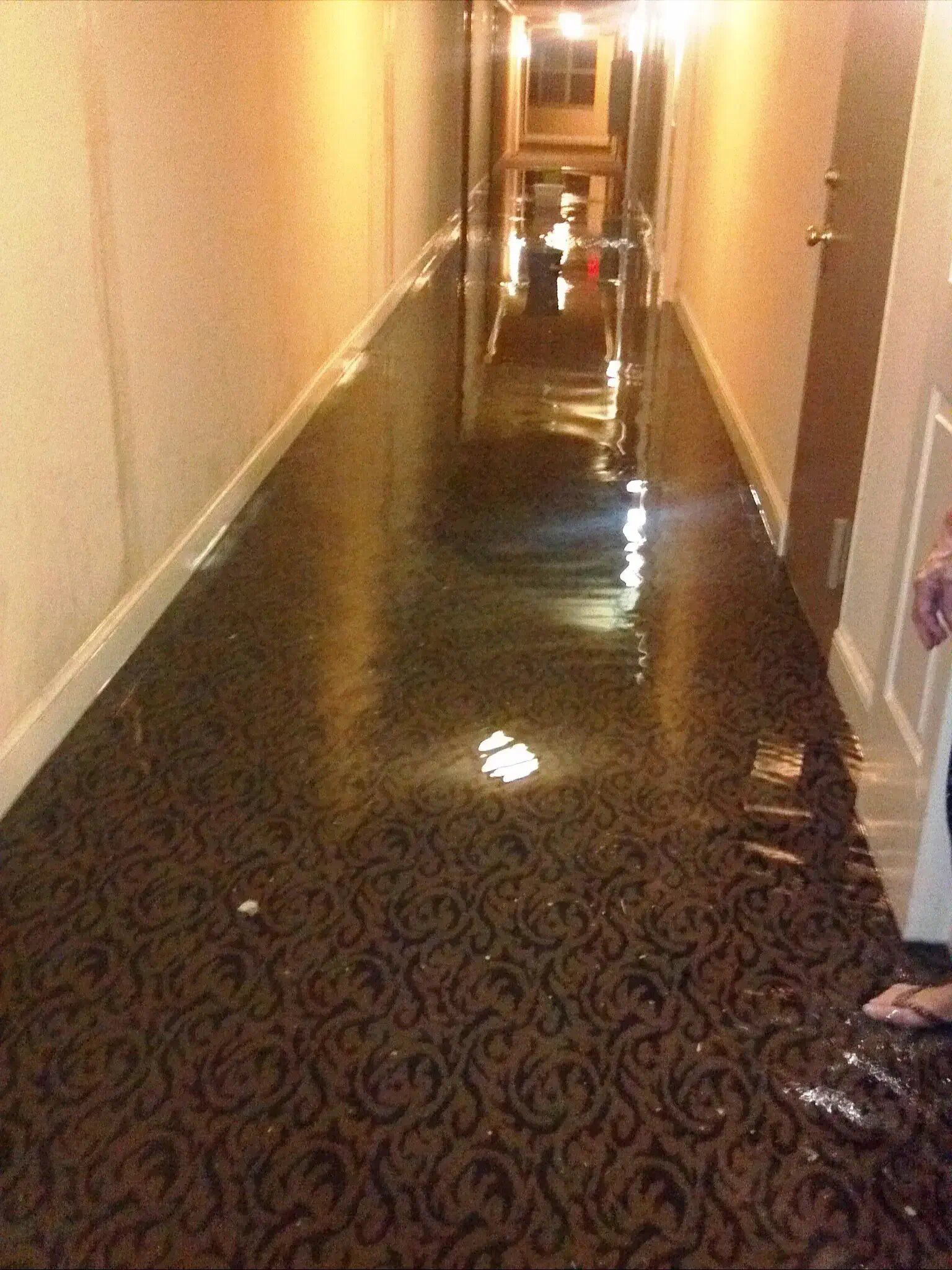 flood cleanup