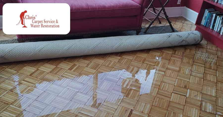 Expert Mitigation and Emergency Response for a Flooded Condo in Belleair, FL