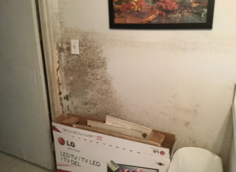 living room mold