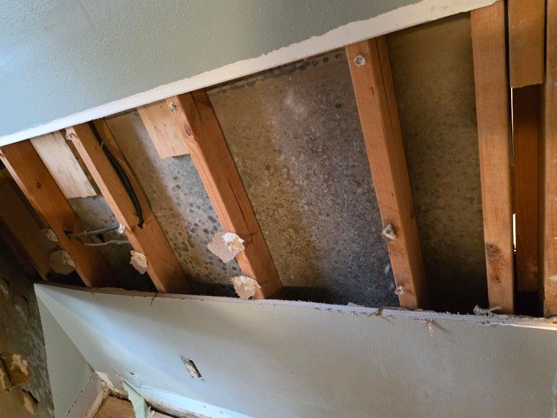 Mold remediation demo process