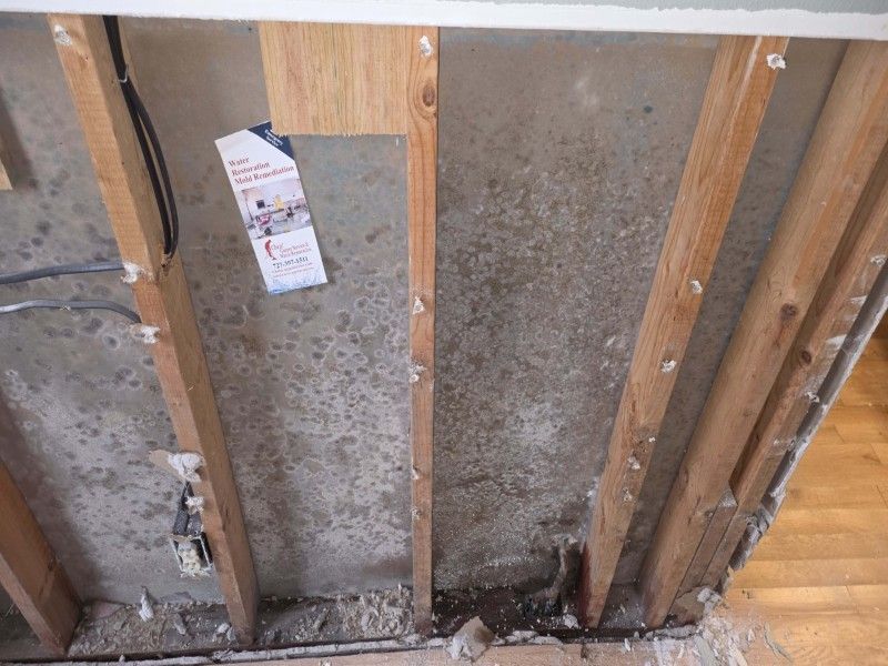 Mold contamination spreading across wall cavity
