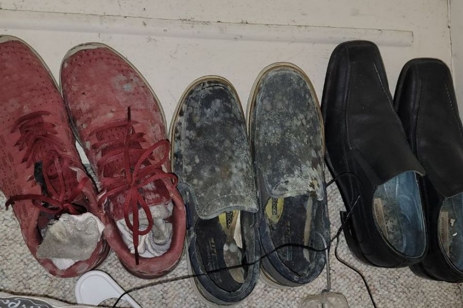 Mold growth on shoes and personal items