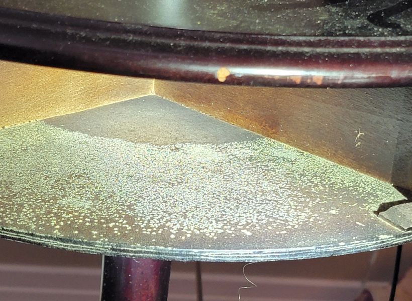 mold on a coffee table 1