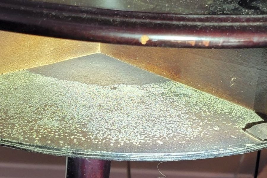 Mold growth on furniture from humidity exposure