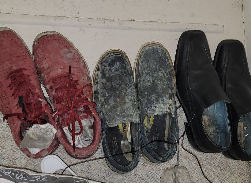 mold on shoes